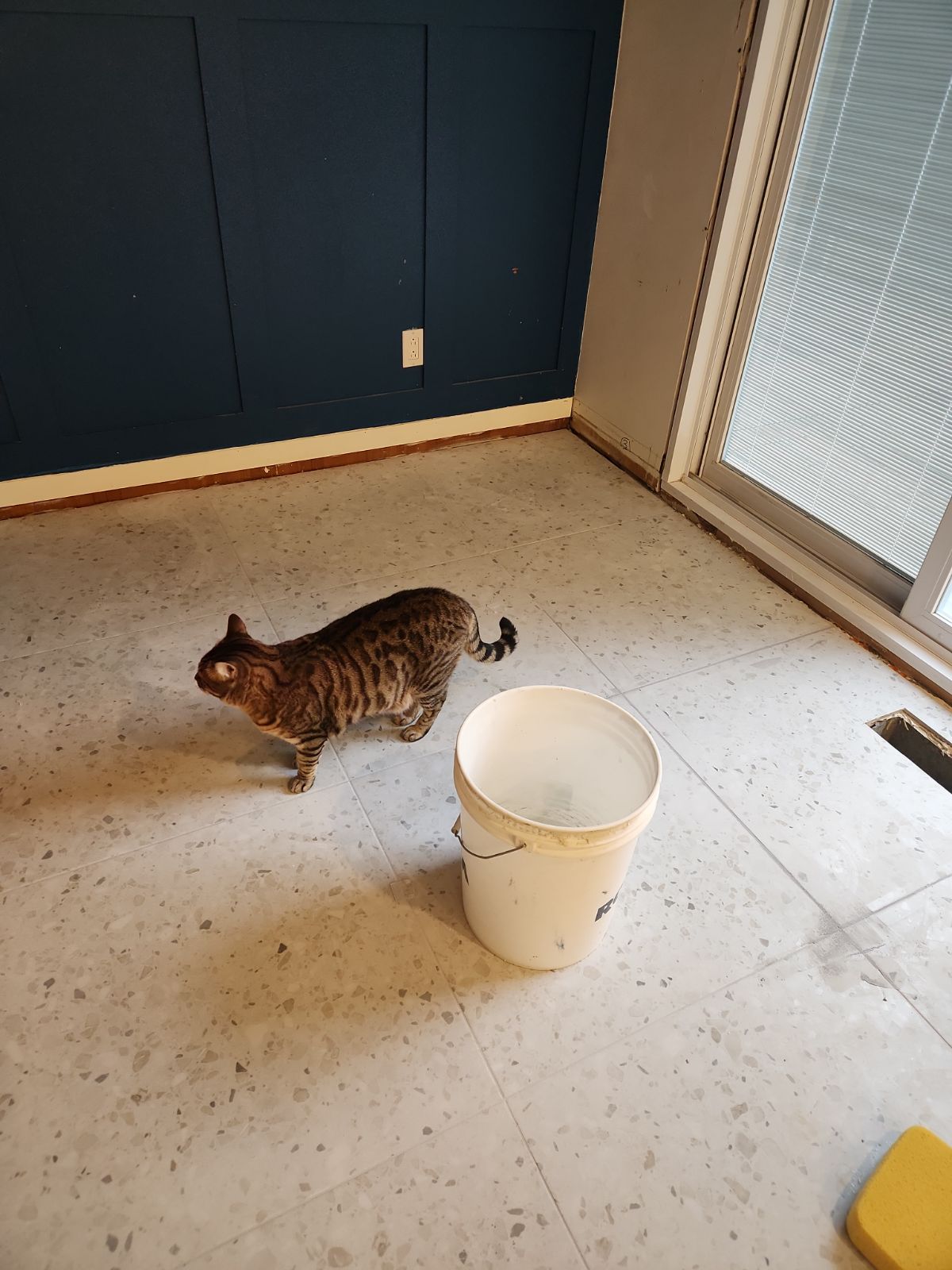 Plancher de la cuisine avec le coulis